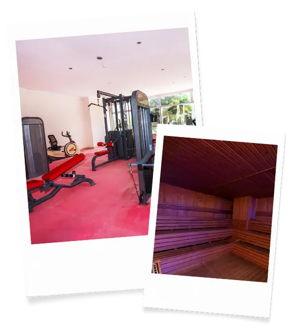 Spa & Wellness
